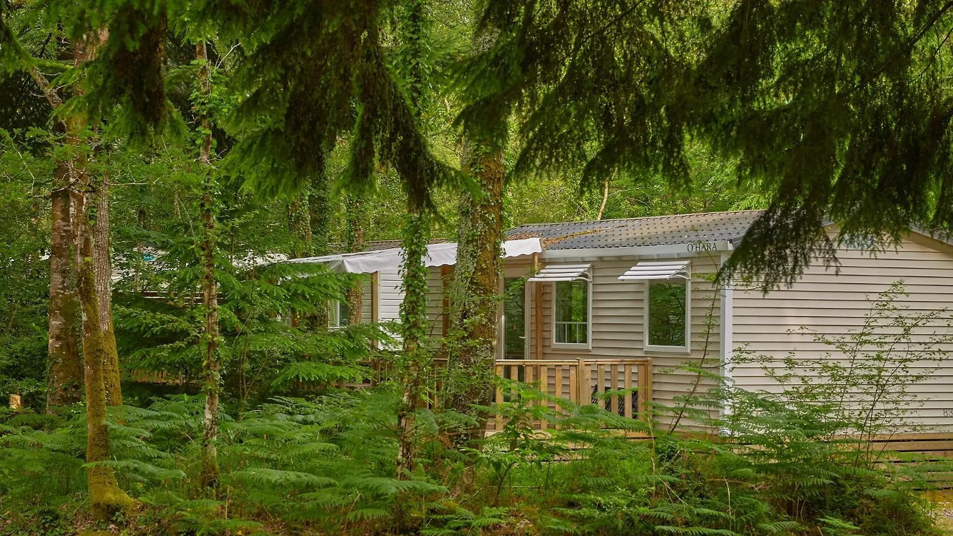 Campsite Camping Le Bois De Pleuven Saint-Yvi France